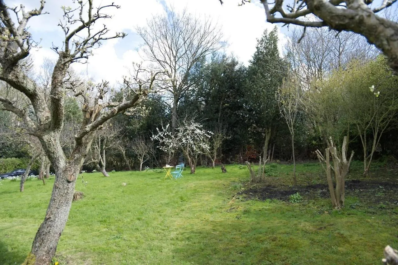 A Quirky Garden Building In An Orchard Villa Ryton  0*, Ryton (Tyne and Wear) Verenigd Koninkrijk
